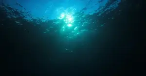 Scientists long thought life in the deepest ocean trenches depended mostly on scraps of sunlight-fed life drifting down from above — but at 9,500 metres beneath the Pacific, researchers found whole communities of tubeworms and clams powered instead by methane and hydrogen sulfide seeping from cracks in the seafloor.