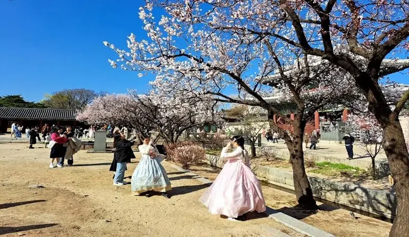 A new vision in South Korea's tourism development strategy - image 3