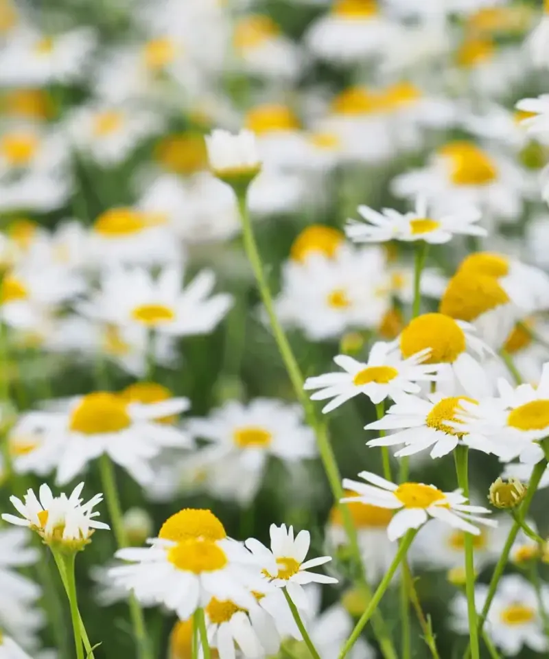 (Image credit: Getty Images / ANGHI)