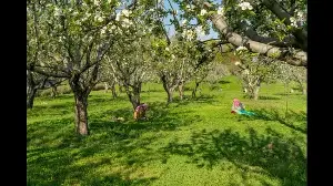 Excerpt: Extra-Ordinary by Aparna Agarwal