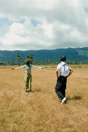 Palm fields become a new popular check-in spot in An Giang.