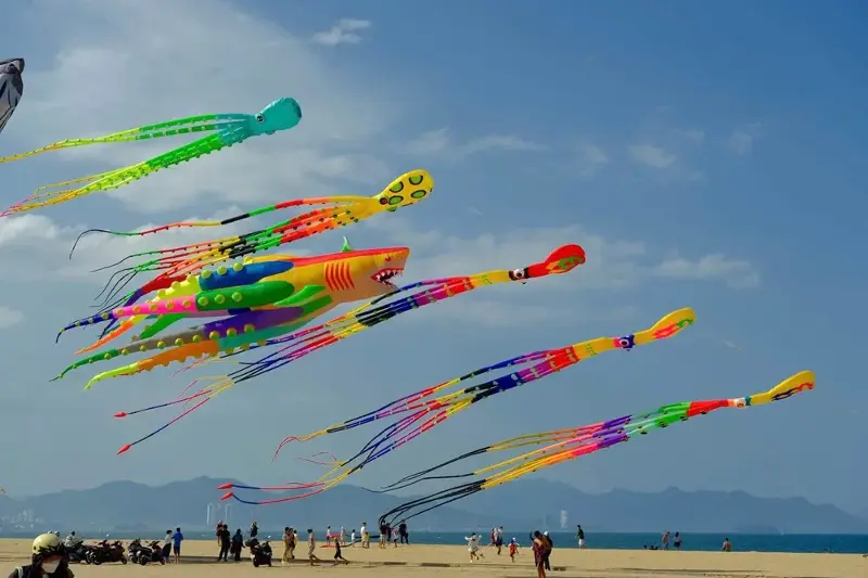 Numerous tourists experience the Giant Kite Festival on the Nha Trang beach - photo 1