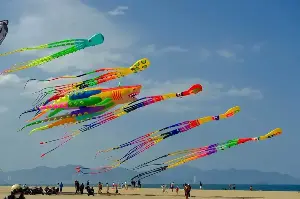 Numerous tourists experienced the Giant Kite Festival on the Nha Trang beach.