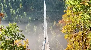 Germany’s best viewpoints from above: Scenic walks, mountain peaks and sky-high bridges