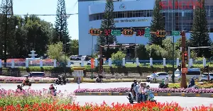 Da Lat is bustling with activity, adorning itself with colorful flowers in preparation for the festival season.