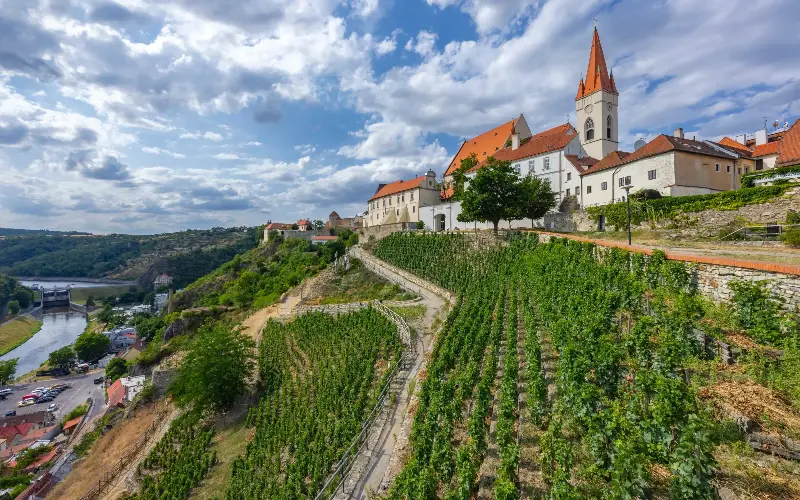 Znojmo is a wine sub-region in Moravia, the country’s major wine-producing area - phbcz/iStockphoto