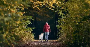 Psychology suggests spending just two hours in nature each week may improve health and wellbeing, even across shorter visits