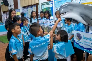 Dolphin conservation efforts broaden