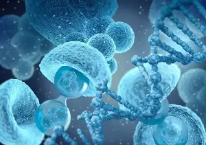 A breakthrough opens new hope for cancer and blood diseases.