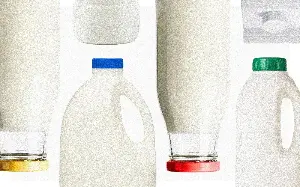 A guide to the bewildering world of cow’s milk