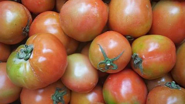 Chỉ với 3 cách bảo quản này, bạn đã có cà chua để dành dùng quanh năm - Ảnh 4.