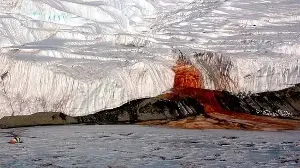 Researchers find ancient microbes in Antarctica.