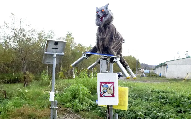 A robot called Monster Wolf is equipped with sensors that can detect and scare bears away - Kyodo/Reuters