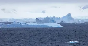 Radioactive iron from an ancient stellar explosion has been found in 80,000-year-old Antarctic ice, confirming that the Solar System is passing through the remnant debris of a supernova