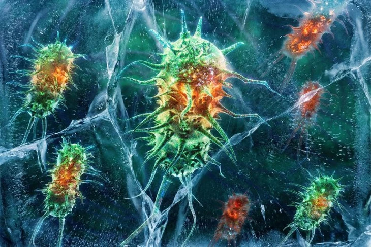 vi khuẩn - Ảnh 1.