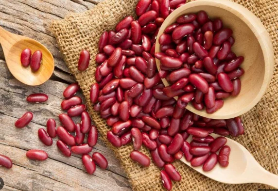 Seemingly a common food item, these 6 types of beans are actually a 