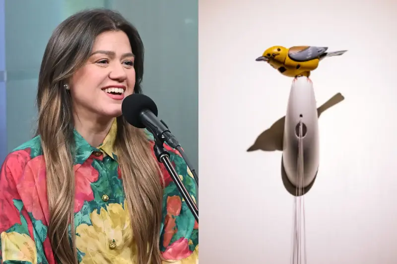 Kelly Clarkson said she was told in a condescending tone that the bird cost $15,000 (Getty/Instagram)