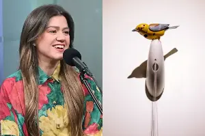 Kelly Clarkson doubles down over $15K bird dispute. But the NYC shop has a different story