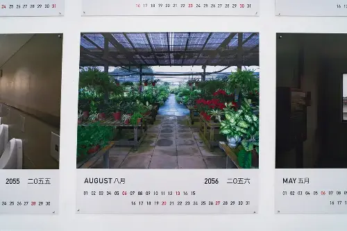 Heman Chong Singapore Art Museum SAM Calendars 2056 50 Years Old