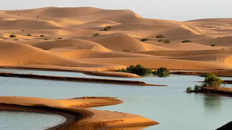 Sahara desert dunes