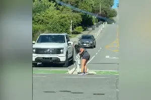 Millions in Stitches As Husky Chooses Worst Moment Possible To Try To Play