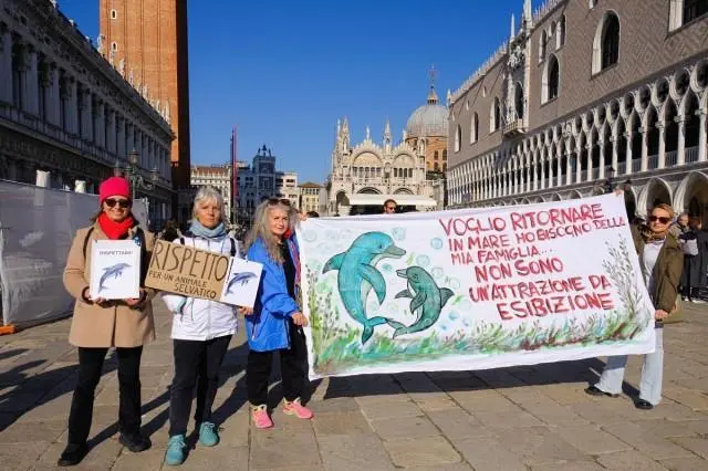 People hold signs and a banner calling for the protection of Mimmo, a dolphin living in the Venetian lagoon, during a demonstration in St. Mark's Square, amid growing concerns about the impact of tourism on the animals, in Venice, Italy, November 8, 2025. REUTERS/ Manuel Silvestri
