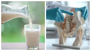 Can drinking too much milk increase osteoporosis risk?