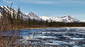 When Is the Spring Equinox 2026? Dates and Science Behind the Phenomenon