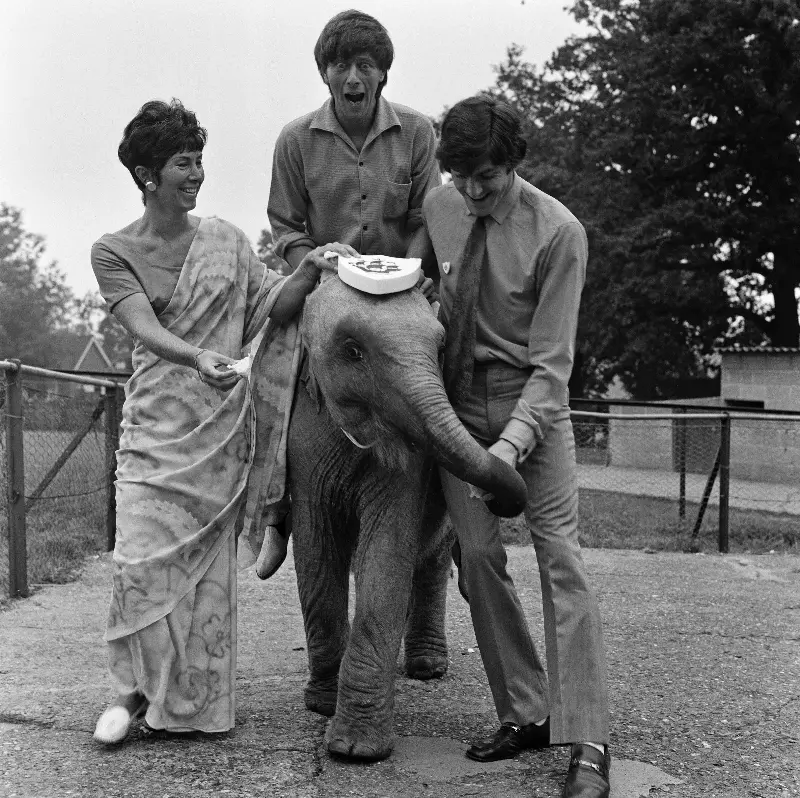 Valerie Singleton, John Noakes and Peter Purves present a special Blue Peter badge to Lulu the elephant in September 1969 in honour of her chaotic appearance on the show two months earlier - Mirrorpix via Getty Images/Peter Marsh