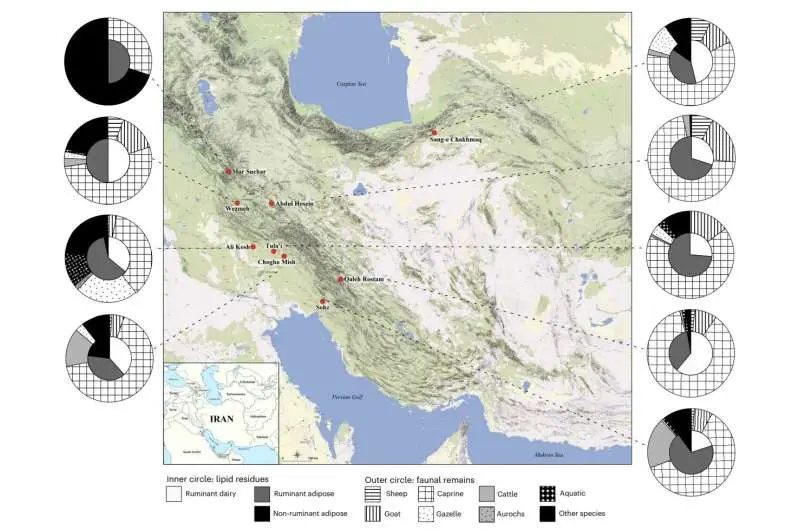 Evidence of early goat and sheep dairy consumption in Neolithic Iran