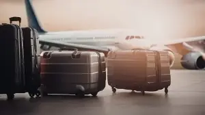 Which suitcase should you buy? We compared the top-rated options under ₹5,000