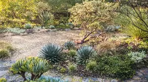 The 0-5-30 Planting Rule Is Changing How Americans Design Fire-Resilient Gardens – Here's What It Means for Your Yard