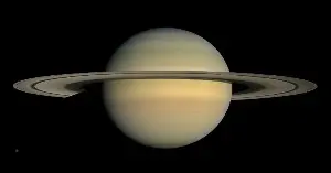 Saturn's magnetospheric cusp behavior