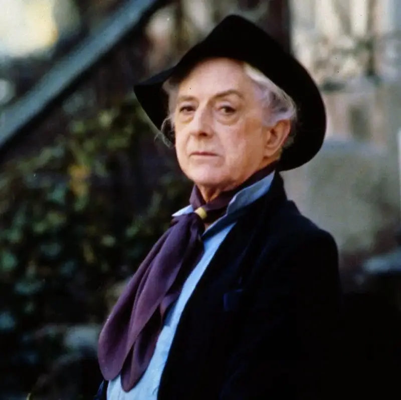 Quentin Crisp’s scarves signalled his ‘never married’ status - Gerald Herbert/AP Photo