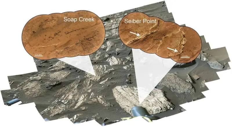 High nickel concentrations in Martian bedrock point to potential biosignatures