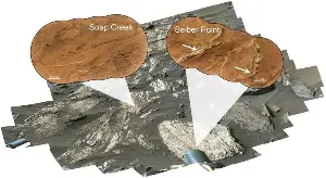 High nickel concentrations in Martian bedrock point to potential biosignatures
