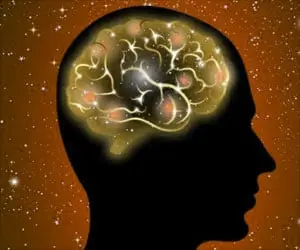 Sleep, Exercise and Diet: How They Support Your Brain