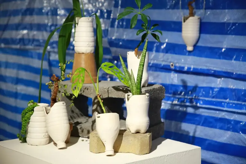 Plastic Bottle Plant Pot.