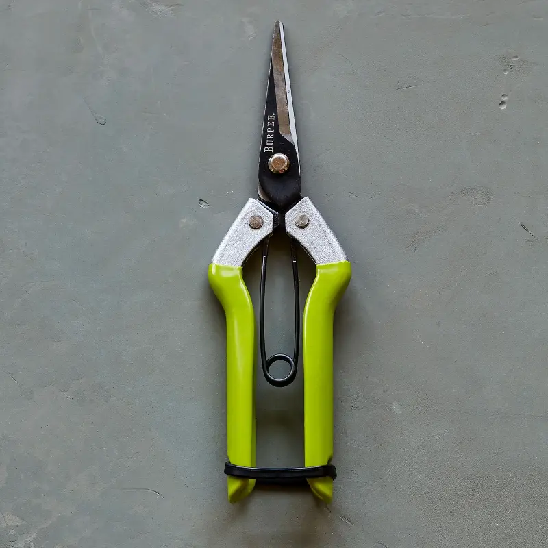 Burpee Cr725 Garden Pruning Shears - 1 Pruning Shear