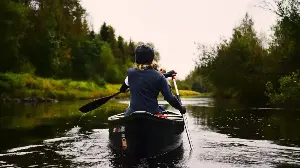 Discover India's top mangrove kayaking spots for meaningful slow travel