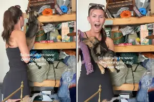 Woman Reveals Why She’s ‘Never Questioning’ Her Miniature Dachshund Again