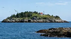 Kent Island became a bird sanctuary