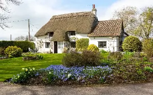 The five mistakes to avoid when buying your forever home