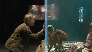 As Remarkably Bright Creatures Hits Netflix, The Same Word Keeps Coming Up In Critics’ Reviews