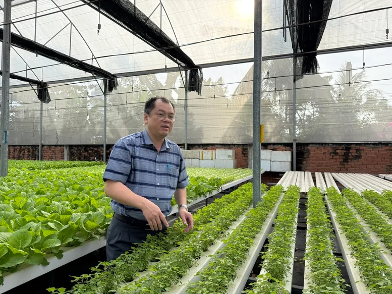 Hiệu quả rõ nét từ phát triển nông nghiệp xanh- Ảnh 1.