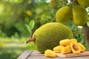 Jackfruit: A common fruit where every part, from the segments to the seeds, is edible.