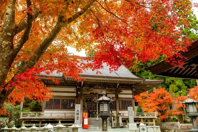 What does autumn in Kagawa Prefecture, known as Udon Prefecture, offer besides its famous bowls of noodles? - Photo 1.