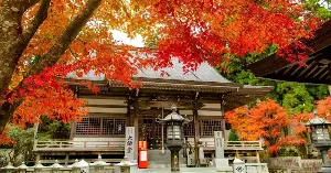 What else does autumn offer in Kagawa Prefecture, the "Udon province," besides its famous bowls of noodles?